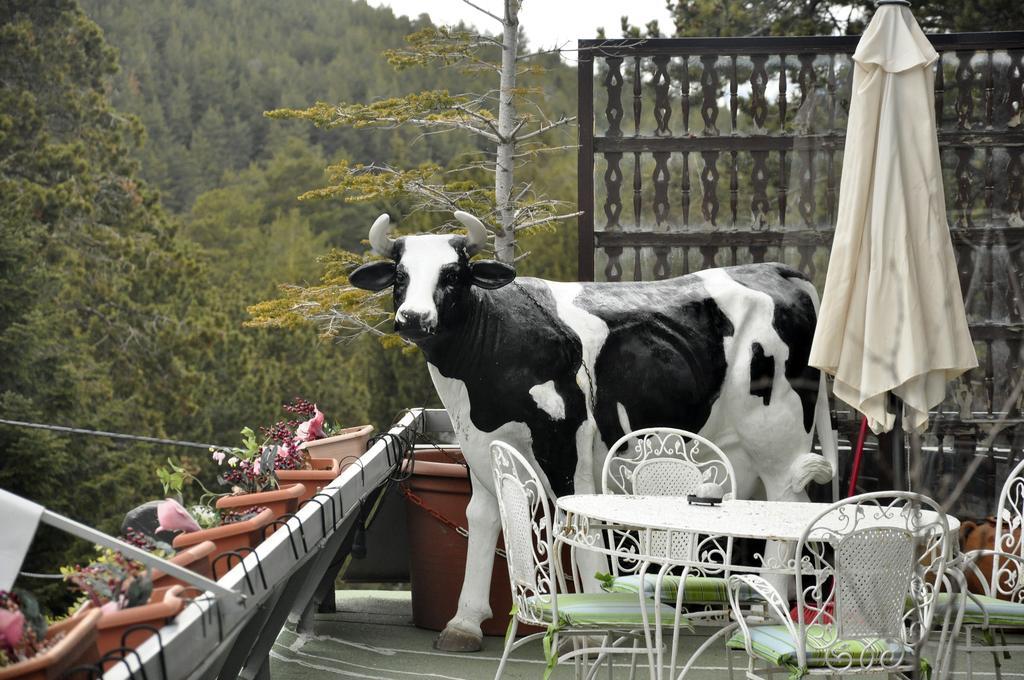 Hotel Amoretes La Molina  Dış mekan fotoğraf
